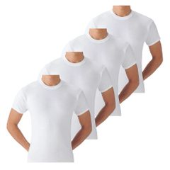 Item thumbnail for item ae962c37-74e0-4a27-9ed1-b5c5a6cfd2c2