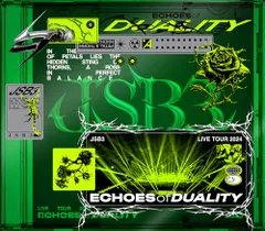 三代目 J SOUL BROTHERS LIVE TOUR 2024 ECHOES OF DUALITY(DVD+CD(