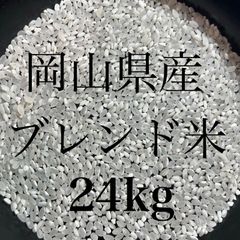 令和7年度 埼玉県産 ⭐“農家で食べてる”ブレンド米⭐ 白米29キロ 送料