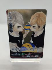 [S] 미야 형제 하이큐 바보카 브레이크 미야유 미야지 최강의 도전자 이나리자키 / Haikyu!! Baboca BREAK Miya Atsumu Osamu HV-P02