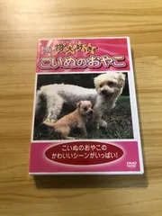 2026年最新】TVアニメ「ミイラの飼い方」DVD2匹目（コニー