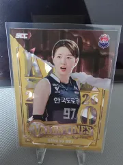 25 - 26 コボ カーボン 道路工事 カン・ソフィ バレンタイン インサート カード