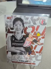 25 - 26 コボ カーボン 정관장 黄色 ポジション インサート カード