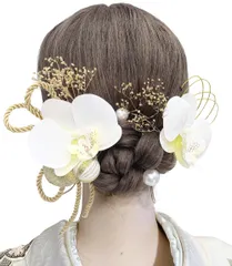 【JZOON】成人式 髪飾り 胡蝶蘭 ドライフラワー ダリア コチョウラン あじさい 和玉 白 ホワイト 水引 七五三 浴衣 袴 着物 飾り 振袖 和装 卒業式 結婚式 ウェディング 花 かわいい 手作り 専用ケース付き X1107
