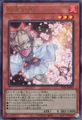 遊戯王　新規絵　灰流うらら　クォーターセンチュリーシークレット 71BwtKZtV8L._AC_UF350,