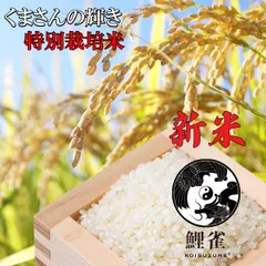 送料無料 新米・令和7年産【 熊本産 くまさんの輝き 玄米 30ｋｇ 】 中村幸二さんのお米 玄米30ｋｇ 30キロ 30ｋｇ 当日精米 精米度が選べる   送料無料  ギフト 仕送り 御歳暮 お中元  敬老の日 母の日 業務用のサムネイル