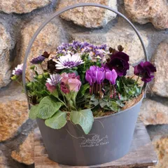 【当店オリジナル】 持ち手付き♪アンティークダークカラーガーデンの寄せ植え 【現品２１３】