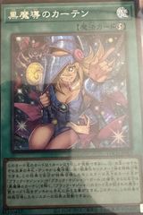 ヴァンガード 悠久の幻真獣 ニルズベイグ 幻真星戦 FFR - メルカリ