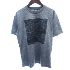 ザノースフェイス THE NORTH FACE カットソー Tシャツ クルーネック プリント 半袖 S グレー /AU