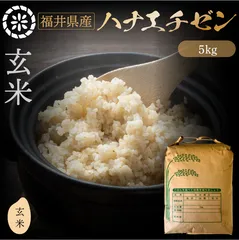 【ご好評御礼・特別価格実施中！】生活応援！農家直送　令和7年産　ハナエチゼン　華越前　【玄米】　5kg