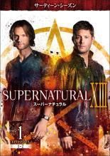 HOTEL シリーズinハワイ 全6巻 DVD HOTEL シリーズinハワイ 邦画TV