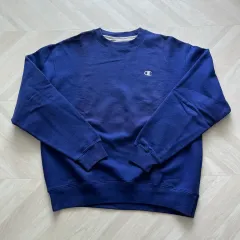 チャンピオン 裏起毛パーカー (2XL - 110) ヴィンテージ