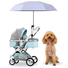 Item thumbnail for item 77346b42-75c4-4ccc-8600-c1a80497c271