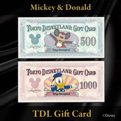 東京ディズニーランド ギフトカード 旧デザイン500円 & 1,000円券