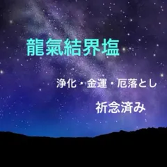 龍氣結界塩 30g｜盛り塩可｜玄関浄化・金運巡り・厄落とし