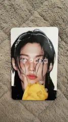 straykids フィリックス スキズ KARMA SKZOO Ver.