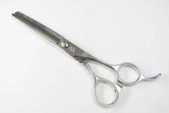 Item thumbnail for item 68216a0c-0a69-49c9-8015-8462edb4f51a