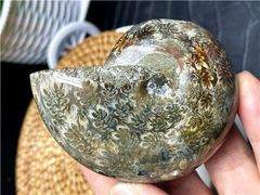 AAA級ウルグアイ産天然アメジストドーム原石YT8G3/195G18C - メルカリ