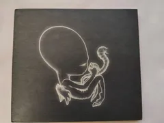 CD0022【中古CD】アゲイティス・ビリュン シガー・ロス Sigur Ros / 日本盤 / まとめ買い歓迎 FREE SHIPPING