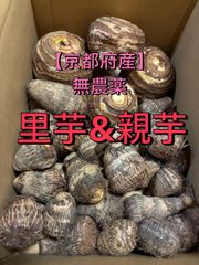 農薬不使用 京都産里芋 親芋 10kg ほくほく美味しい - メルカリ