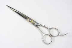 Item thumbnail for item 83cd0e15-ecba-4106-b6be-9d3ce8864e9d