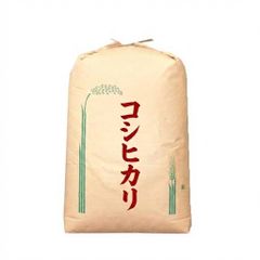 輝夜様専用出品】農家直送 令和7年千葉県産コシヒカリ玄米30kg【30キロ