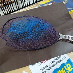 Item thumbnail for item 9fb0a5bf-669b-4e34-9691-d86257cf6e4f