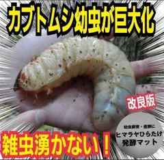 2026年最新】ヒマラヤひらたけ発酵マットの人気アイテム - メルカリ