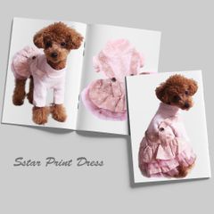 Item thumbnail for item 0e461741-4562-44a1-96aa-1ba6f57fb2bd