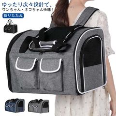 Item thumbnail for item 3fbfb495-9f2c-4573-89a4-c97be652a9d1