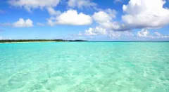 大和様専用ページS25 BA15S 24V専用 24個 レッド