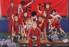 劇場版ハイキュー!!ゴミ捨て場の決戦 来場者特典 古舘春一 音駒高校最後の集合写真 第2弾