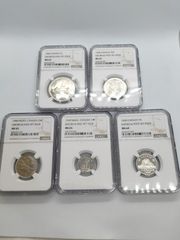 NGC PF65 ウナとライオン 2019年 イギリス領ヴァージン諸島造幣局 1