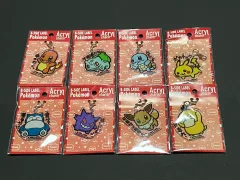ポケットモンスター キーホルダー ポケットモンスター アクリル チャーム ポケットモンスター アクリル キーホルダー 出品