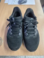 (250)NIKE ナイキ ランニングシューズ ペガサス 41