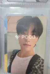 Seventeen ディノ Attacca CARAT Ver.