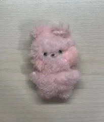 BT21 ジョングク SHOOKY COOKY キャラクター ぬいぐるみ 8cm うさぎ ぬいぐるみ BTS ジョングク