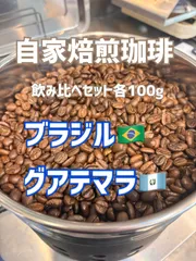 自家焙煎珈琲　飲み比べセット各100g ブラジル・ グアテマラ