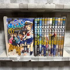ジャンク・ランク・ファミリー 1-20巻 全巻セット 完結 高橋ヒロシ