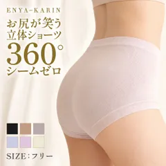 【新商品】ショーツ レディース 深履き 立体成型 360度シームレス お尻すっぽり 立体ショーツ 食い込みにくい ずれにくい シルクタッチ ノンストレス 美尻 抗菌 快適フィット 響かない 下着 伸縮 通気 快適 インナー メール便190円 3点で送料無料