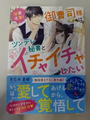 【溺愛注意! 】 御曹司様はツンデレ秘書とイチャイチャしたい (ベリーズ文庫) きたみまゆ