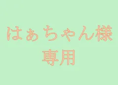 はぁちゃん様　専用　佐川急便で発送