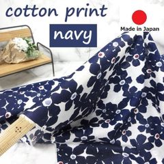 Item thumbnail for item 2c96ed62-d767-4c52-b406-3d23d5eb426b