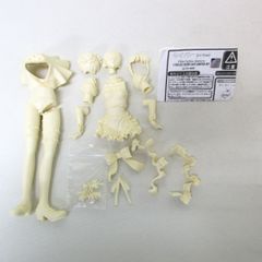 連続実験 Fate セイバー あかいいなずま 1/6 ガレージキット 連続実験 Fate セイバー あかいいなずま 1/6 ガレージキット - メルカリ