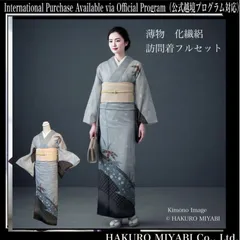 薄物　夏着物　化繊　絽　訪問着　フルセット　4点 未使用近い　美品　カタ2-10