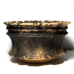 2026年最新】パキプス 鉢の人気アイテム - メルカリ