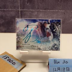 山田哲人 333×3 フォトブック 非売品 333名限定 トリプルスリー記念