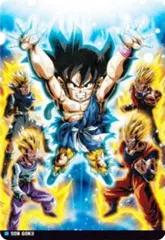 【9-24 孫悟空 (R レア) 】 イタジャガ ドラゴンボール vol.9