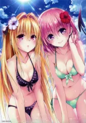 2026年最新】toloveる 原画展 クリアポスターの人気アイテム - メルカリ