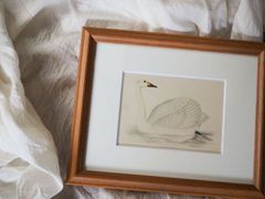 igaiganenonekoさま専用です】松尾ミユキ 原画 額装 - メルカリ